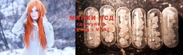 PSILOCYBIN Алзамай