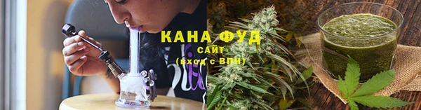 PSILOCYBIN Алзамай