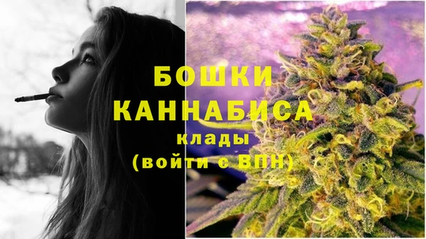 PSILOCYBIN Алзамай