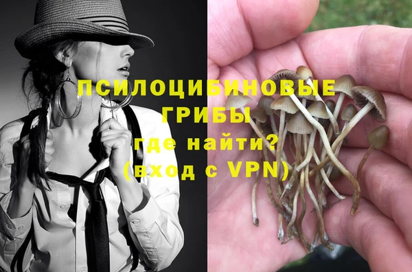 PSILOCYBIN Алзамай
